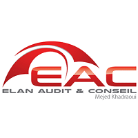 Elan Audit et Conseil